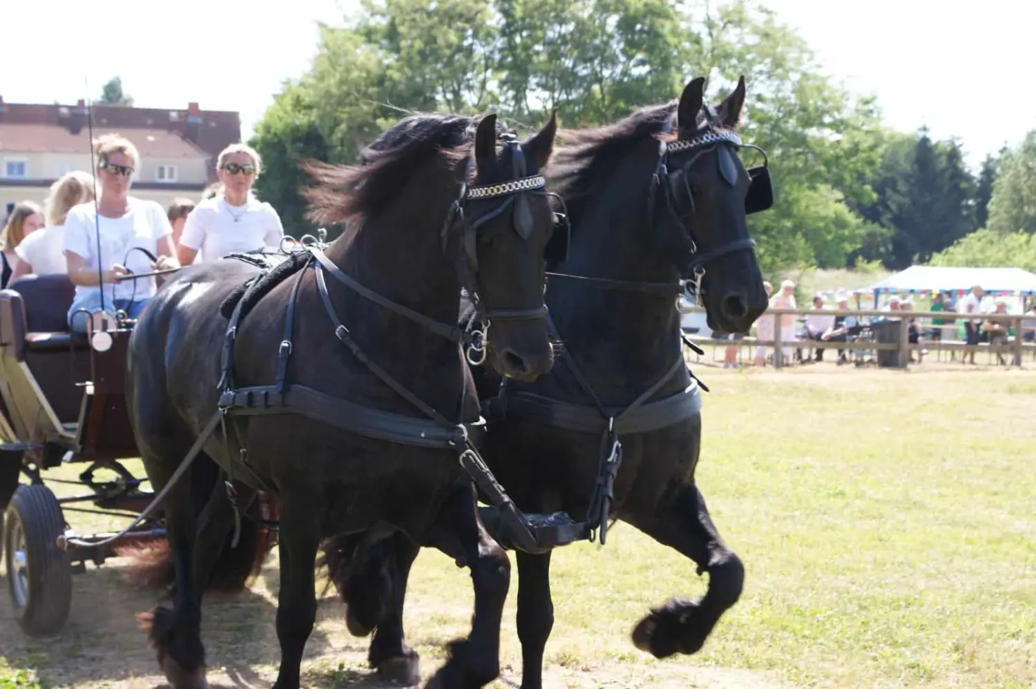 Pferdewagen